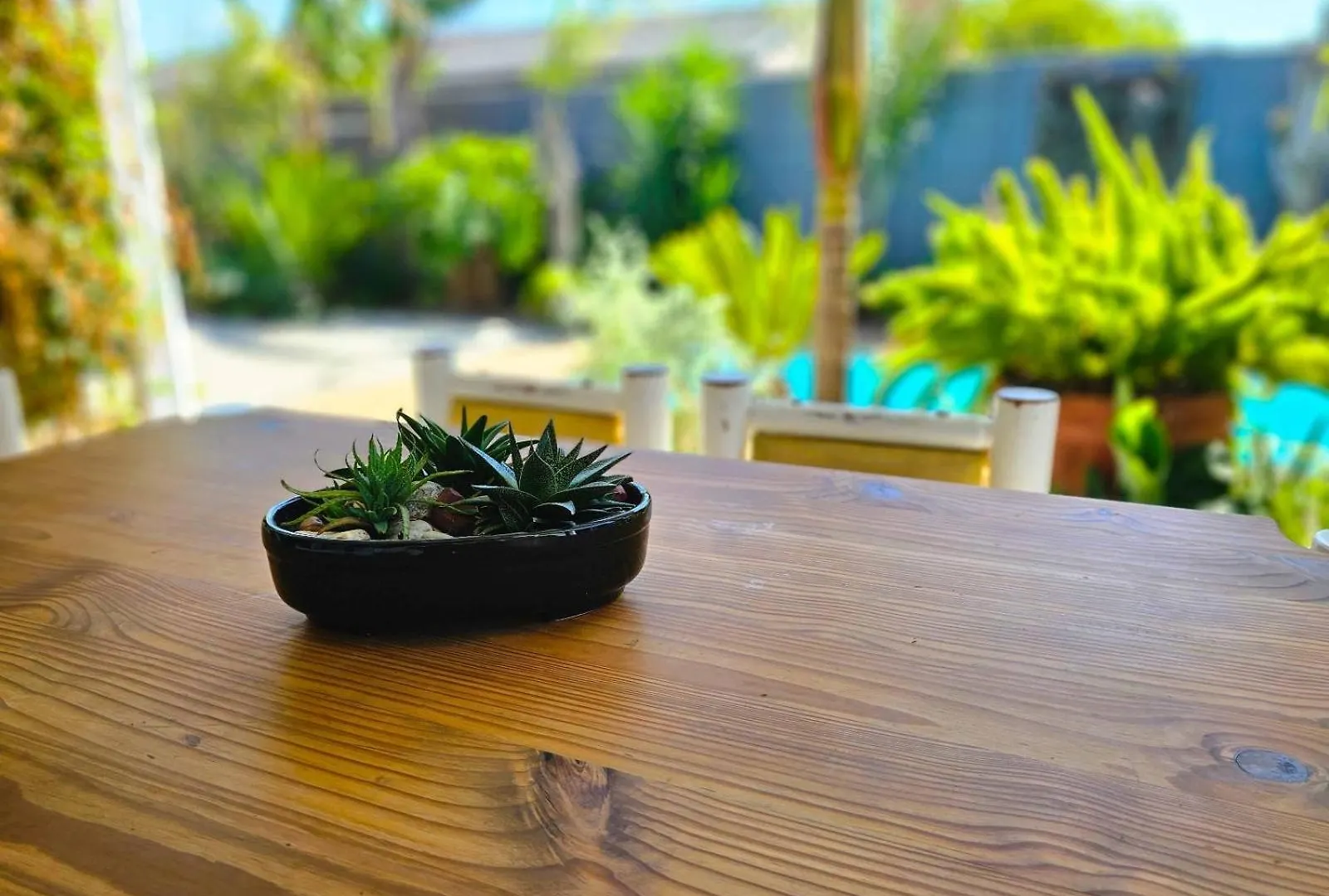 Northern Vine Guesthouse B&B Self-Catering Brackenfell