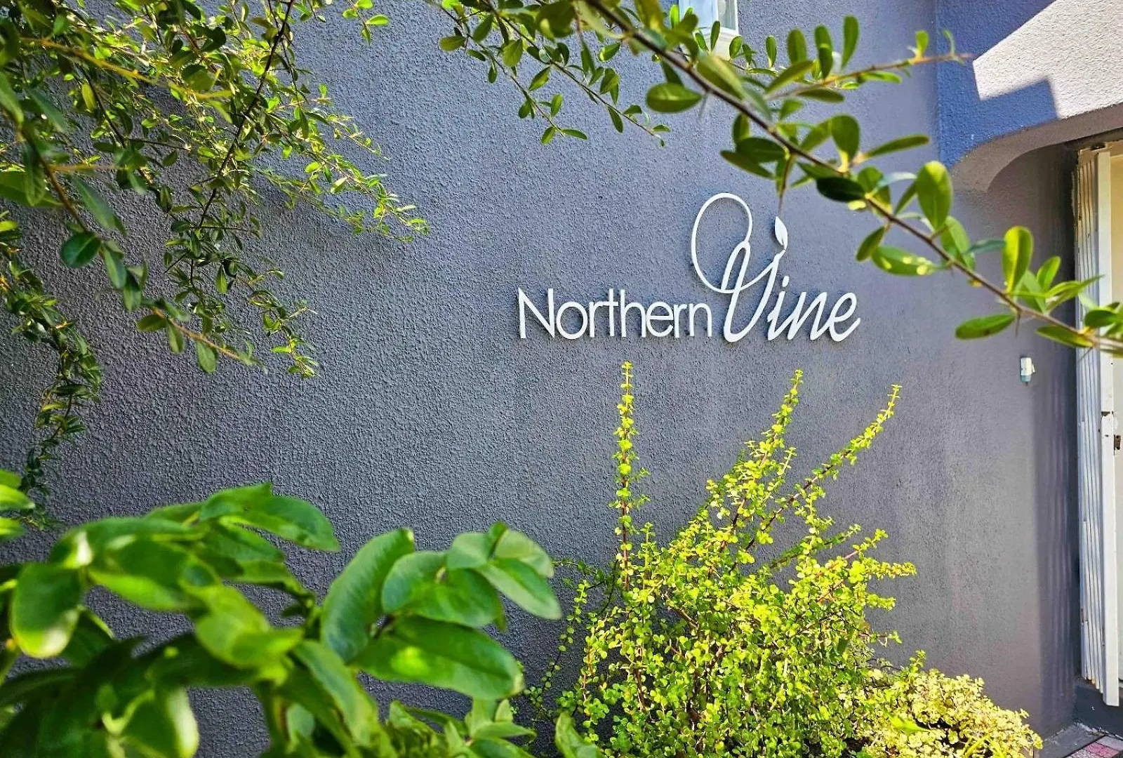 Guest house Northern Vine Guesthouse B&B Self-Catering Brackenfell